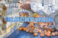 How blockchain and training enhance transparency, safety, and trust in supply chain